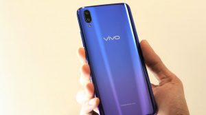 vivo