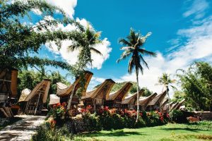 Toraja, Sulawesi